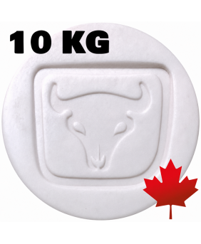 Plainsman Polar Ice Cone 6-10 Translucent White Ceramic Clay Body, 4 lb Plainsman Polar Ice Cone 6-10 Translucent White Ceramic Clay Body, 4 lb